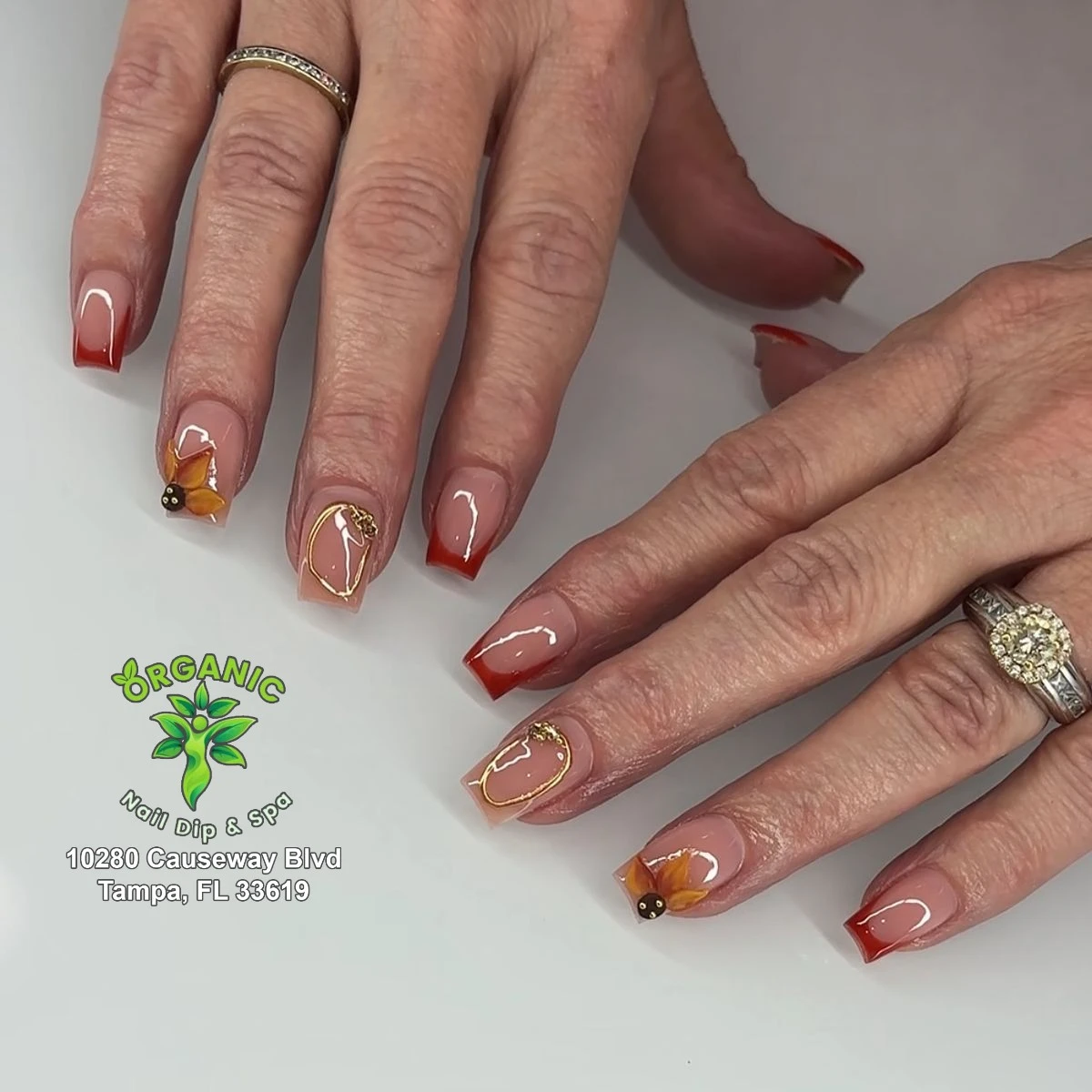 Organic Nail Dip and Spa in Tampa, FL 33619